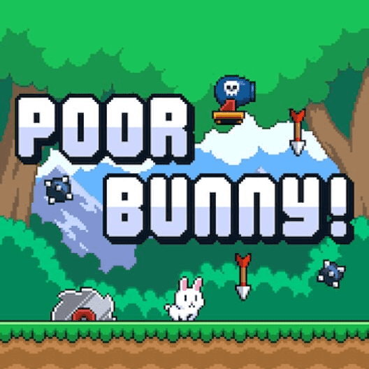 Poor Bunny