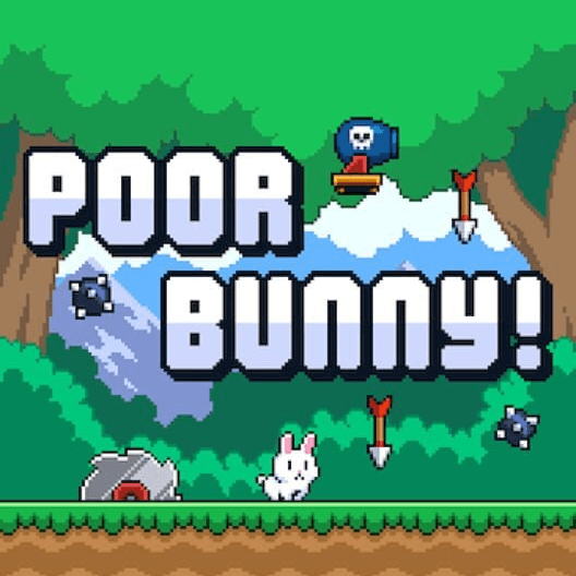 Poor Bunny